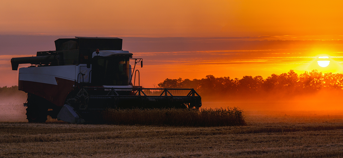 Tractor in fields