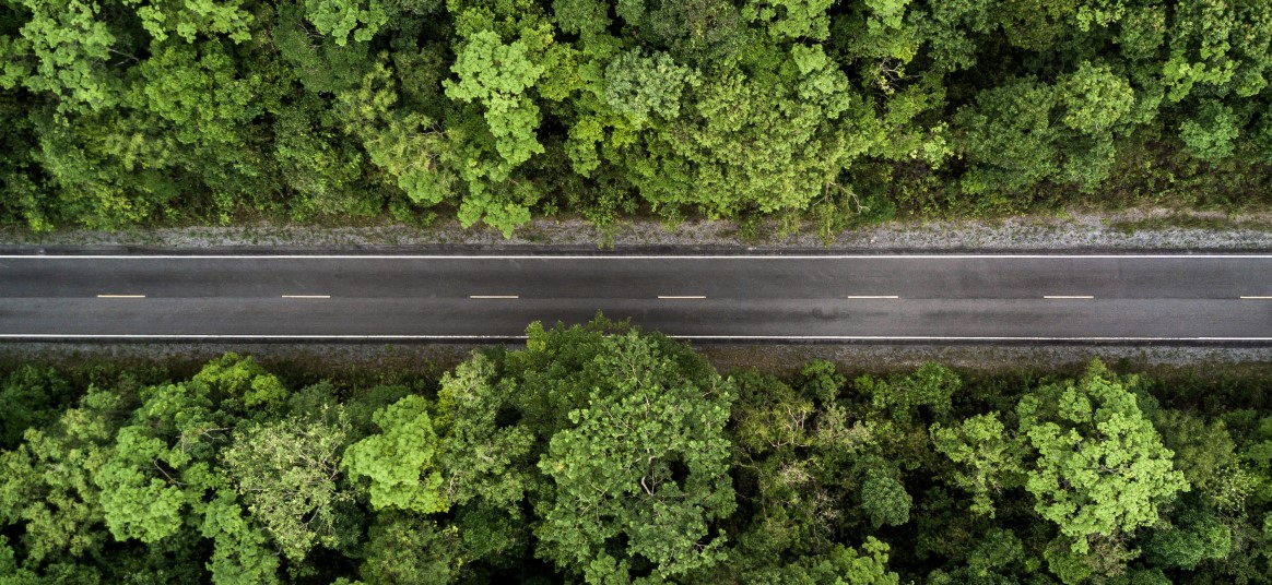 Photo of Road in a forest from birds eye view