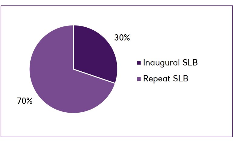 Split by inaugural SLB / repeat SLB pie chart