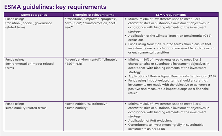 ESMS guidelines: key requirements table