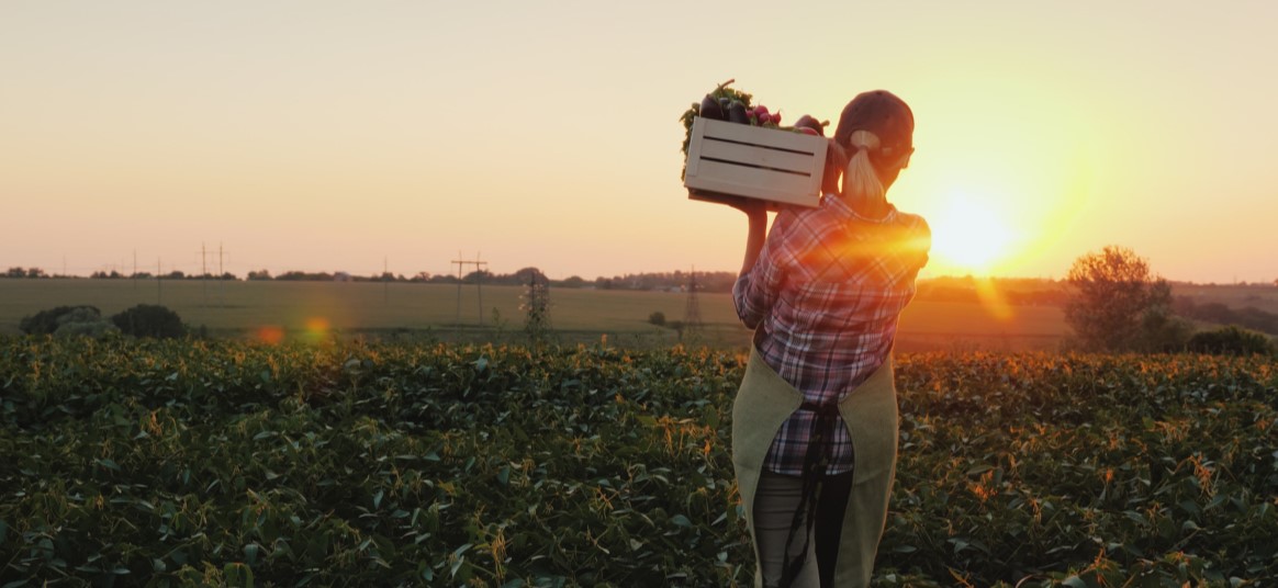 Image of farmer