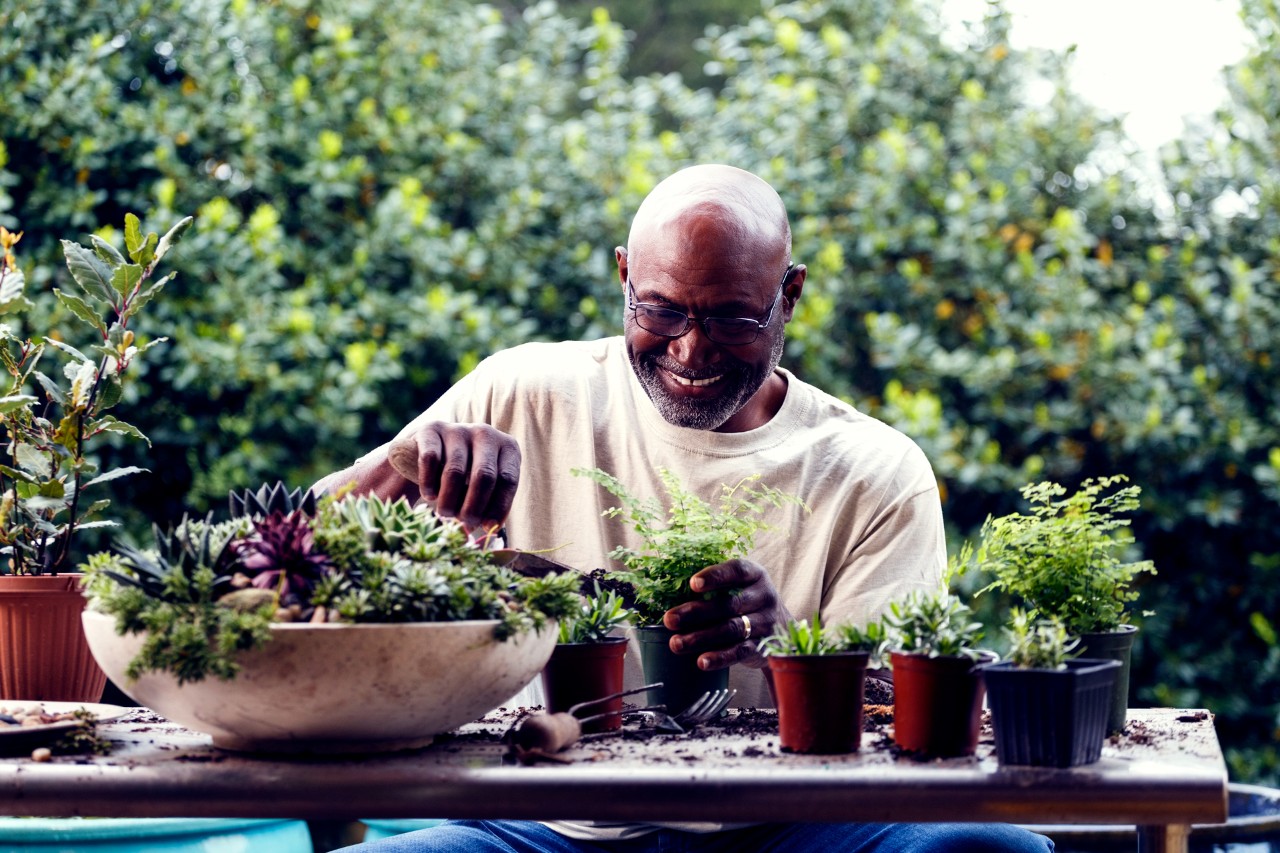 Man repotting plants in his garden